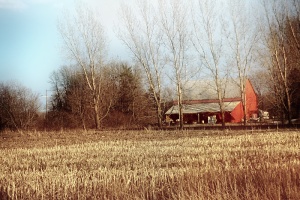 barn and fields