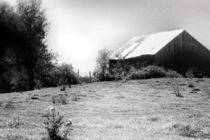 barn in black and white