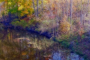 fall colour on river