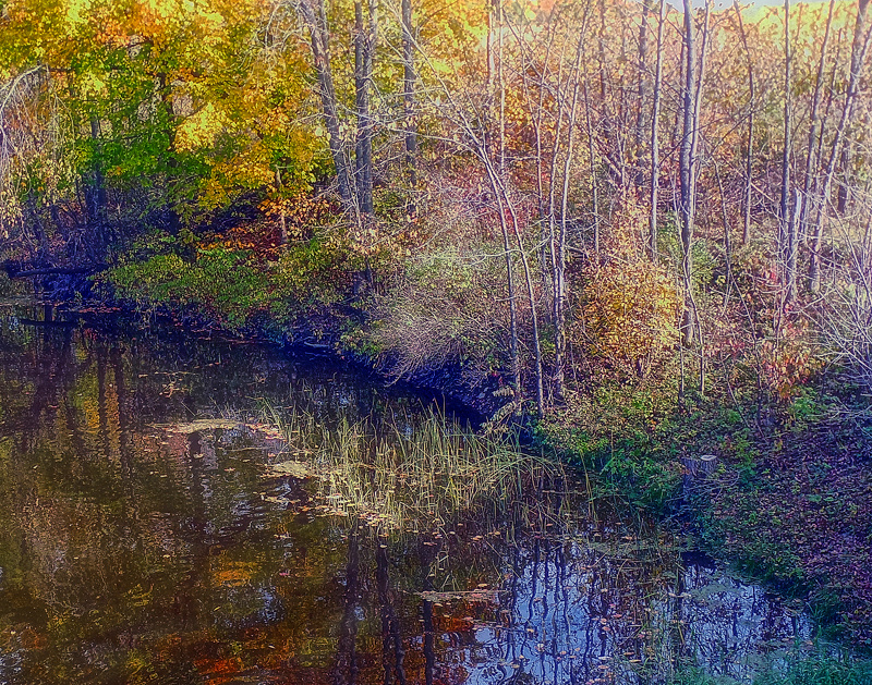 fall colour on river