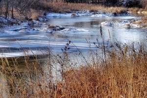 ice on river and grass