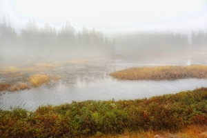 northern Ontario lake in mist and fog